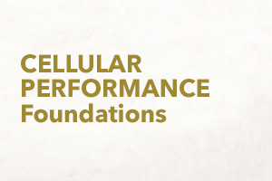 Cellular Performance Foundations